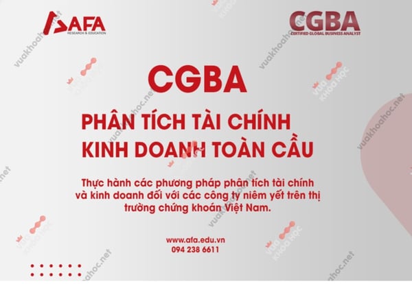 Khóa Học Phân tích tài chính và kinh doanh toàn cầu – CGBA – AFA – Phan Lê Thành Long