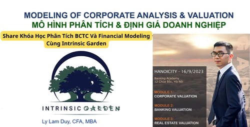 Khóa Học Phân Tích BCTC Và Financial Modeling Cùng Intrinsic Garden