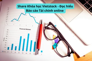 Khóa học Vietstock – Đọc hiểu Báo cáo Tài chính online