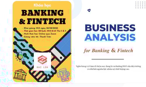 Khóa Học Business Analysis For Banking &amp; Fintech Cùng Hai Lúa