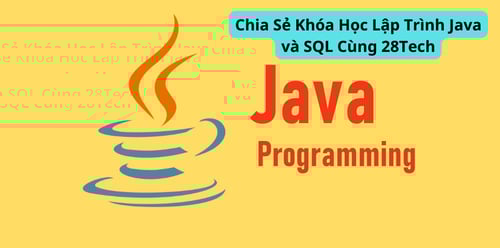 Khóa Học Lập Trình Java và SQL Cùng 28Tech