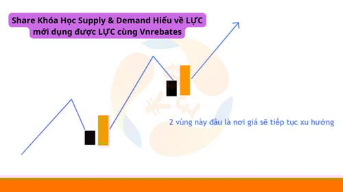 Khóa Học Supply &amp; Demand Hiểu về LỰC mới dụng được LỰC cùng Vnrebates