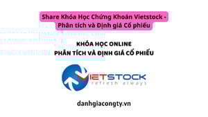 Khóa Học Chứng Khoán Vietstock – Phân tích và Định giá Cổ phiếu