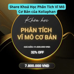Khoá Học Phân Tích Vĩ Mô Cơ Bản của Koliaphan