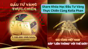 Khóa Học Đầu Tư Vàng Thực Chiến Cùng Kolia Phan