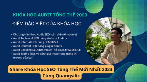 Khóa Học SEO Tổng Thể Mới Nhất 2023 Cùng Quangsilic