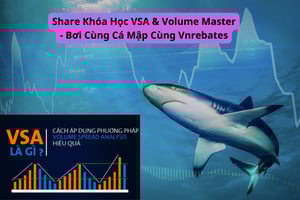 Khóa Học VSA &amp; Volume Master – Bơi Cùng Cá Mập Cùng Vnrebates