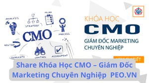 Khóa Học CMO – Giám Đốc Marketing Chuyên Nghiệp Cùng Peo.vn