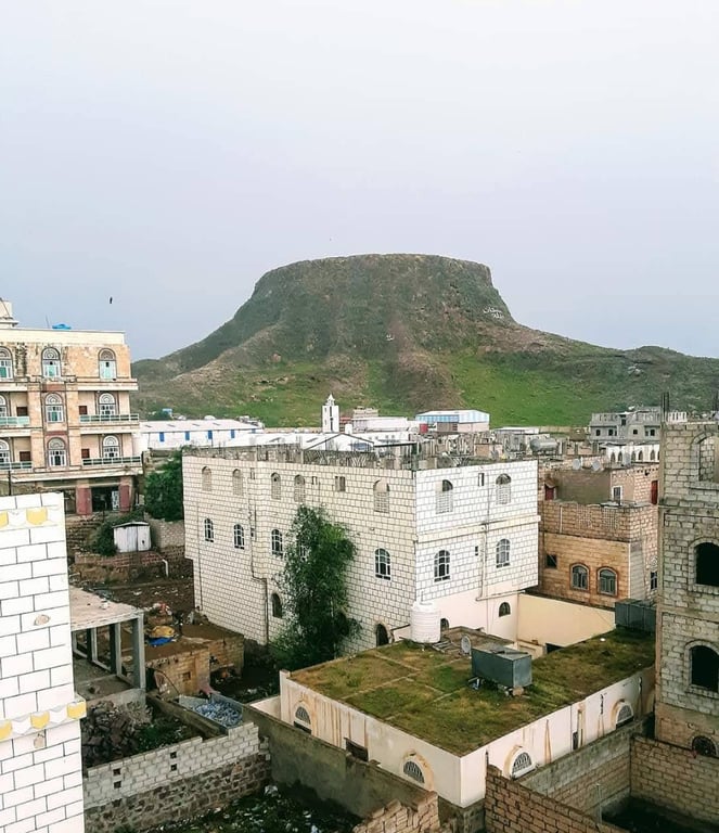Tree Stump Yemen — The Dhamar Crater
