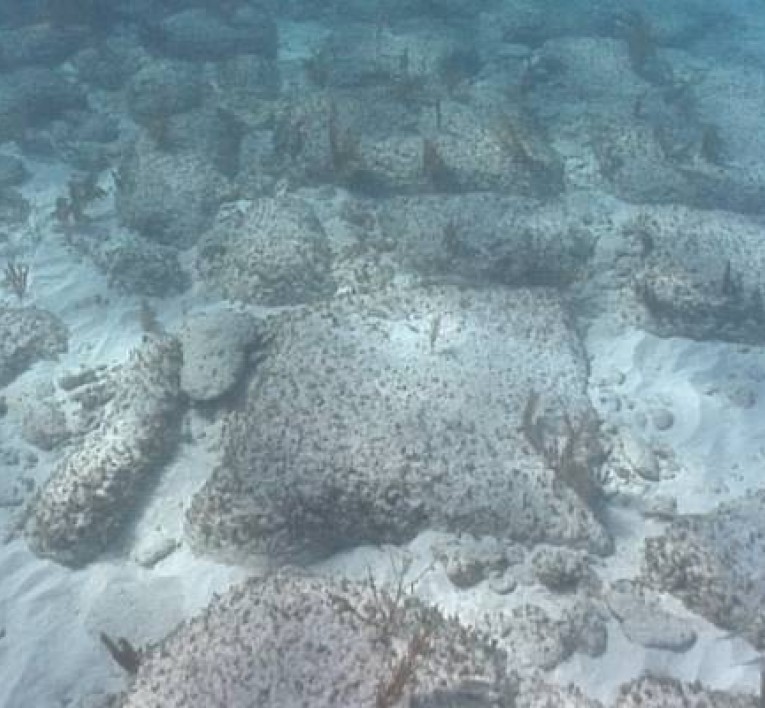 Alleged Ancient Wall Road Bimini Bahamas — Bimini Road