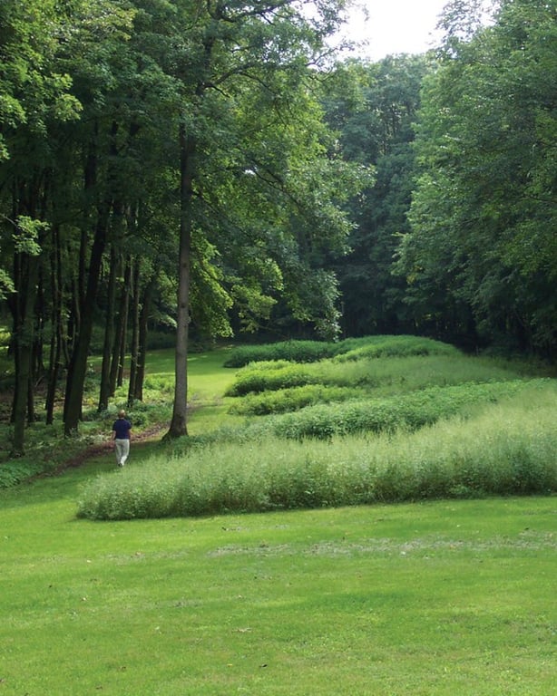 Prehistoric Animal Mound Iowa Aerial Culture — Effigy Mounds Iowa