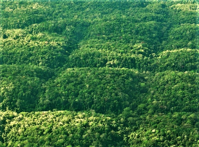 Prehistoric Muril Civilization Geoglyphs — The Apiacás Lines
