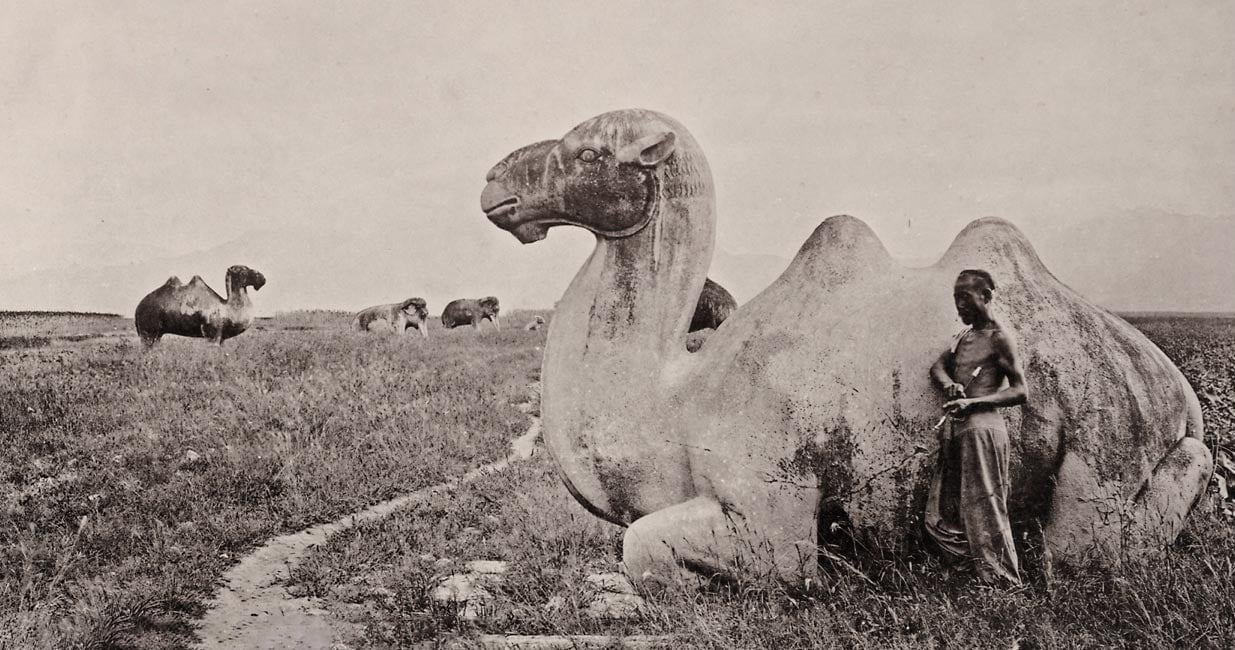 Camel Sculptures On The Road To The Ming Tombs Outside Peking. Photograph By John Thomson, 1871 — original vintage photograph | Camel sculptures on the road to the Ming tombs