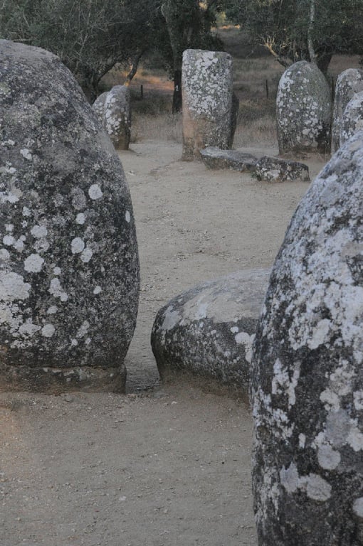 Almendres Cromlech Cromlechs Cork Plantation 104 Wm 98987461 — Almendres Cromlech