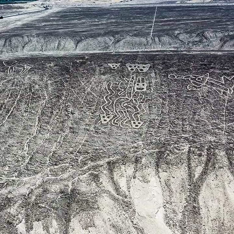 Ancient Art Geoglyphs Palpa Lines Peru — Palpa Lines Peru