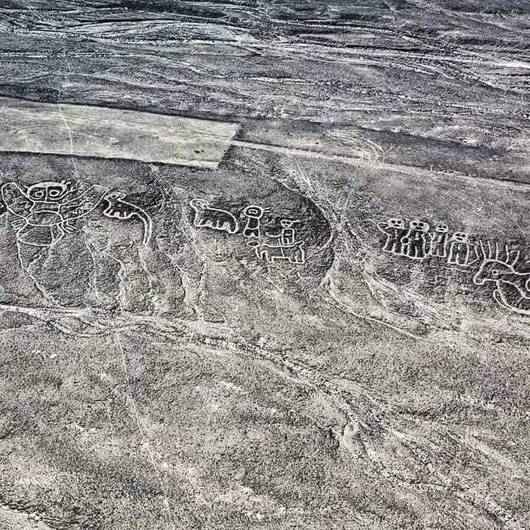 Animal Shapes Palpa Geoglyphs — Palpa Lines Peru