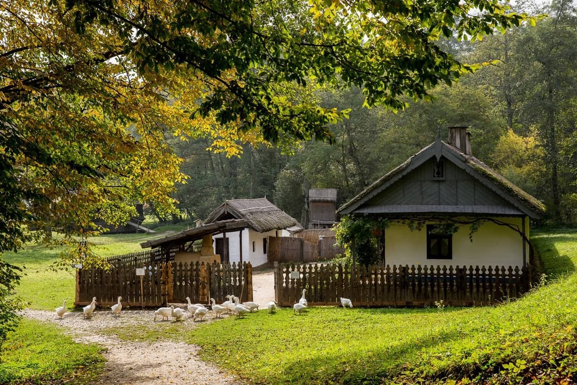 Astra Museum Traditional Houses — Day 7, Dacian Archaeology