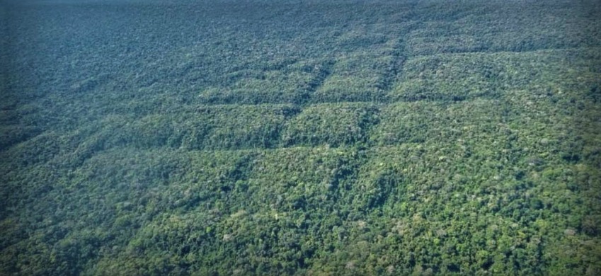Geoglyphs Amazon Recent Discovery — The Apiacás Lines