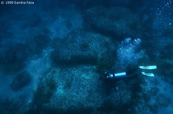 Diving Unusual Slabs Bimini Island — Bimini Road
