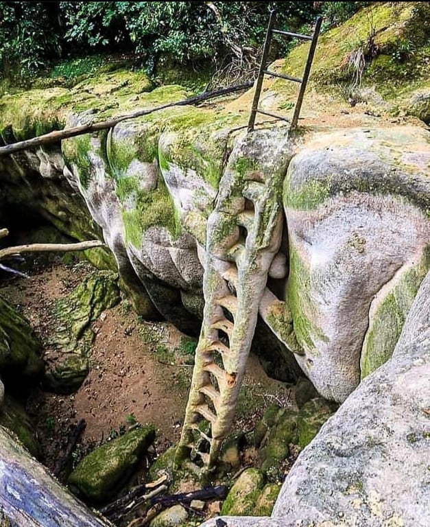 Calcified Iron Ladder Artifact Defies Logic Petrification — The Petrified Iron Ladder