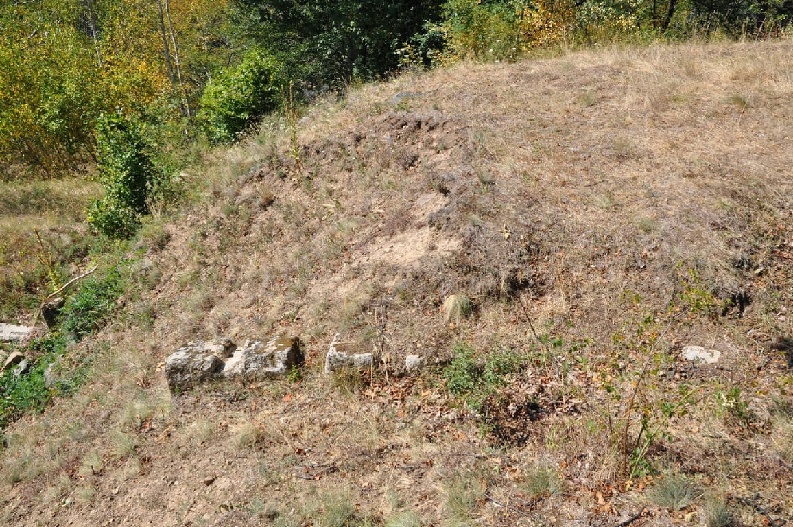 Cetatea Dacic De La Cplna Forest Path Ruins 125 Wm 20754088 — Cetatea Dacică de la Căpâlna