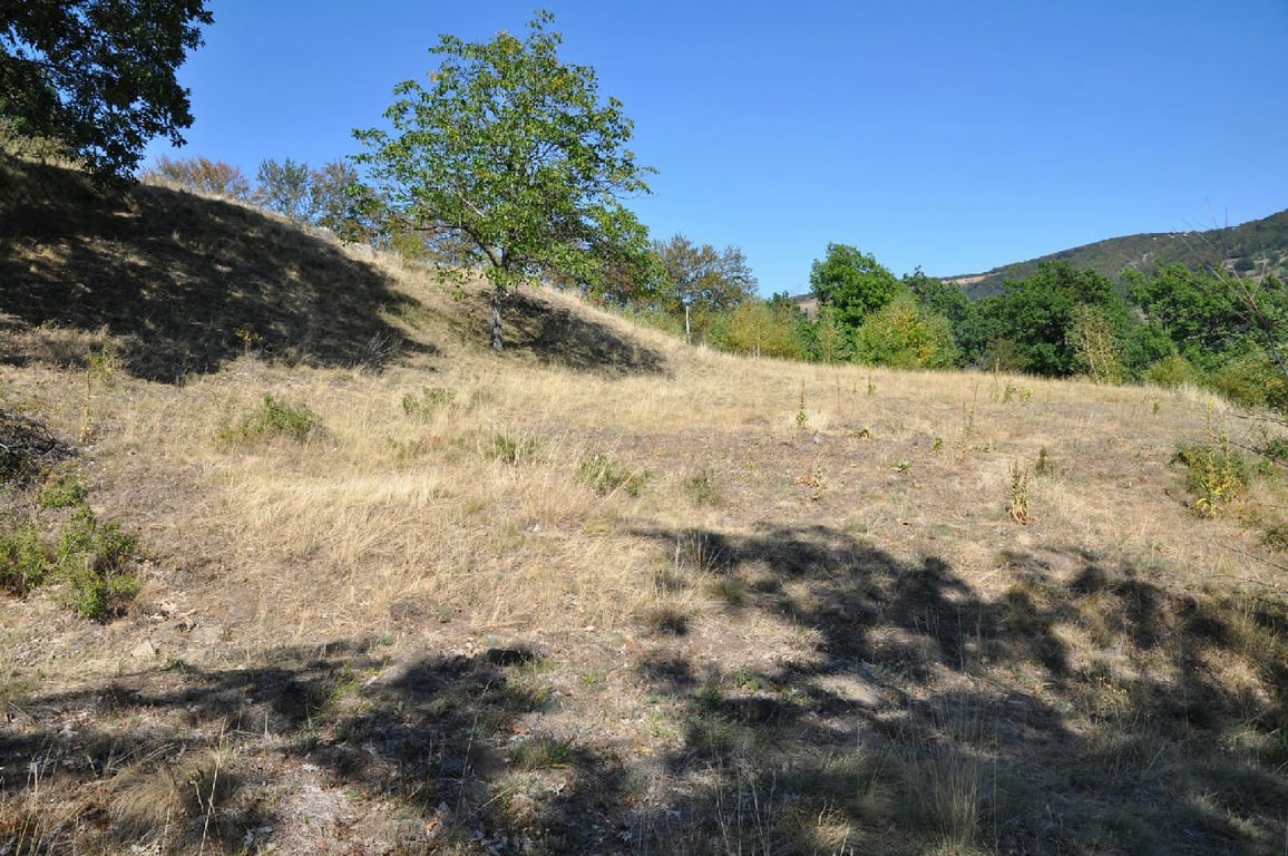 Cetatea Dacic De La Cplna Fortress Ruins 1 125 Wm 20750716 — Cetatea Dacică de la Căpâlna