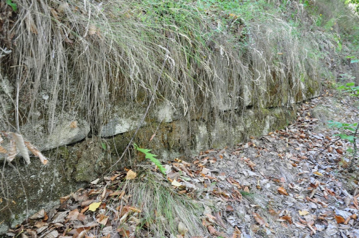 Cetatea Dacic De La Cplna Overview Fortress 125 Wm 20754076 — Cetatea Dacică de la Căpâlna