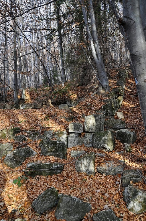 Dacian Citadel 'The White Faces'