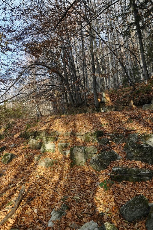 Cetatea Dacic Fetele Albe Walls 0339 149 Wm 21592837 — Dacian Citadel 'The White Faces'