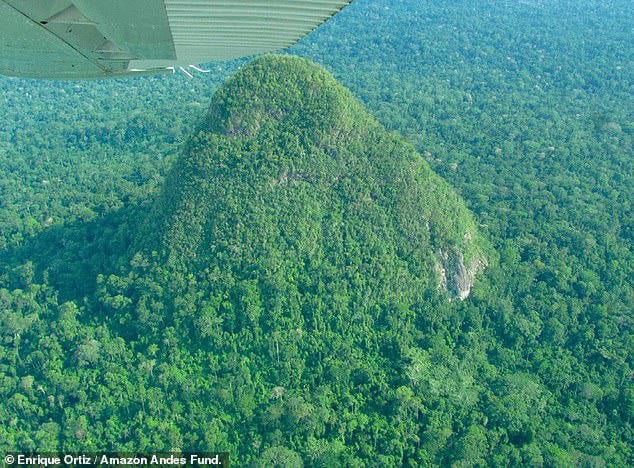 Cone Mountain Amazon Jungle Ancient Strucutre Or Natural Monument — Cerro El Cono 