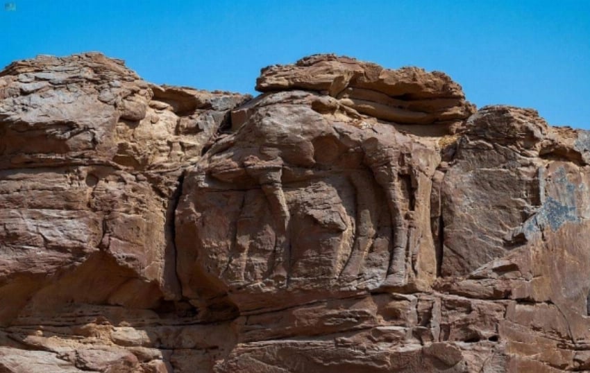 Cover Camel Site Neolithic Peoples Saudi Arabia — Camel Carvings Site