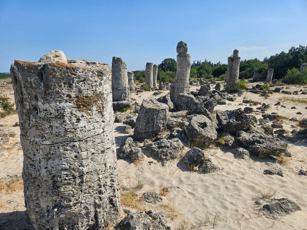 Cover Stone Pillars Stone Forest Bulgaria — The Stone Forest