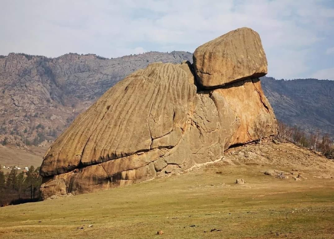 Turtle Rock