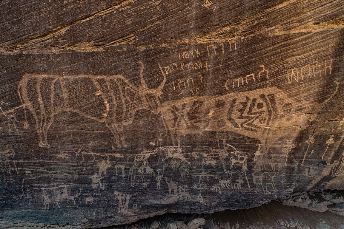 Inscriptions Of Minshaf6 — Bir Hima