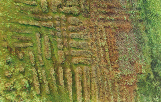 Elongated Raised Fields Amazon — The Upano Valley