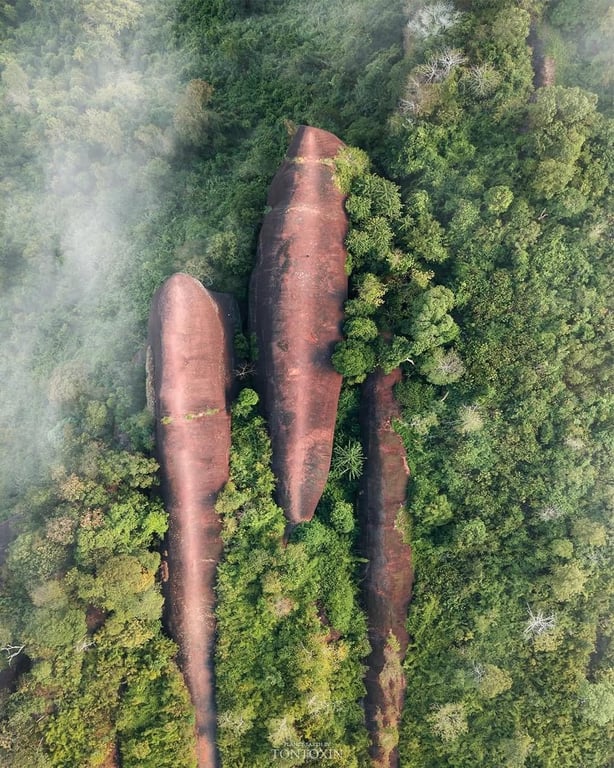 Monolithic Whale Stones From Above — Three Whale Rocks
