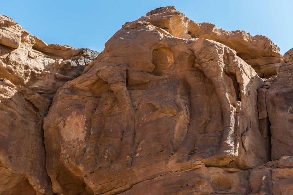 Neolithic Camel Engraving — Camel Carvings Site