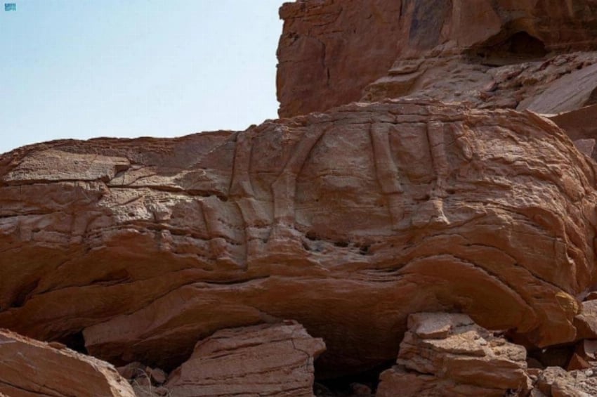 Neolithic Stone Art Camel Feet Saudi Arabia — Camel Carvings Site