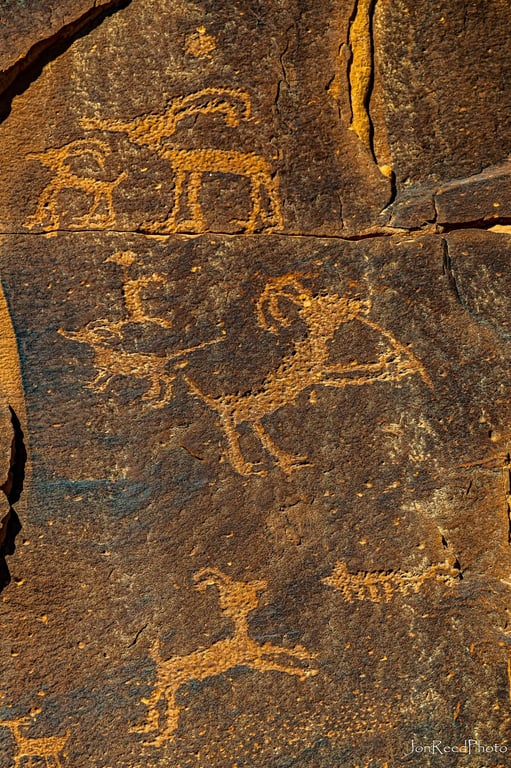Petroglyphs Bighorn Sheep — Sand Island Petroglyphs