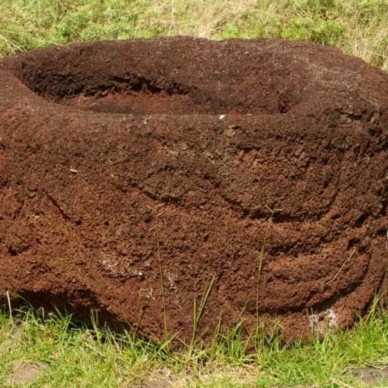 Puko Vinapu Stone Recipient With Engravings — Ahu Vinapu