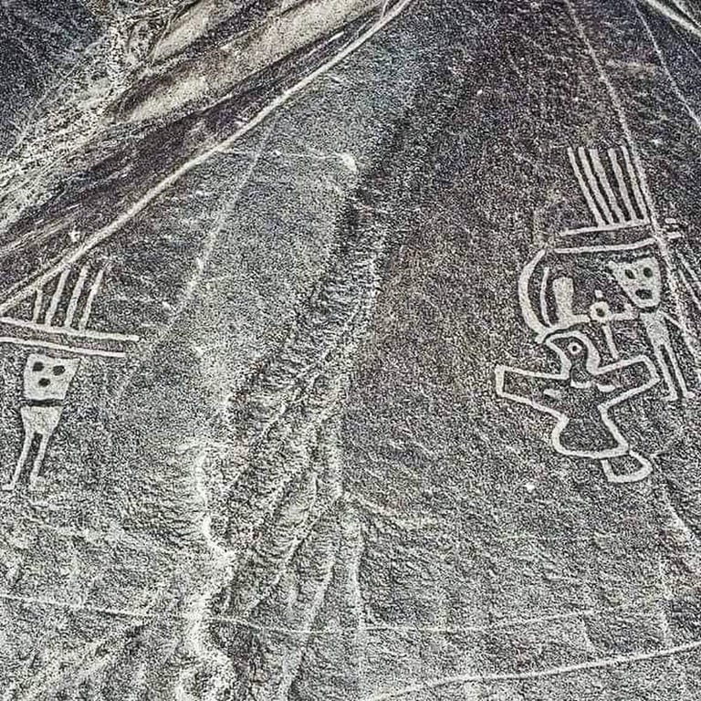 Runways And Animals Palpa Peru — Palpa Lines Peru