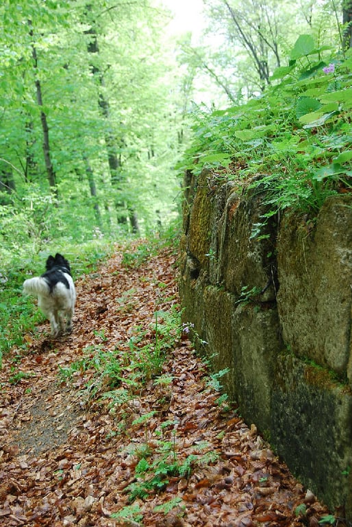 Sarmizegetusa Regia Dacian Wall Murud 120 Wm 15314273 — Sarmizegetusa Regia