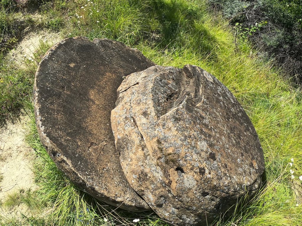 Saucer Shaped Trovant Split — Trovants of Ulmet