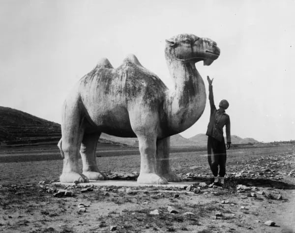 Stone Camel The Western Qing Tombs Near Beijing 1930 — original vintage photograph | Stone Camel Qing Tombs 1930