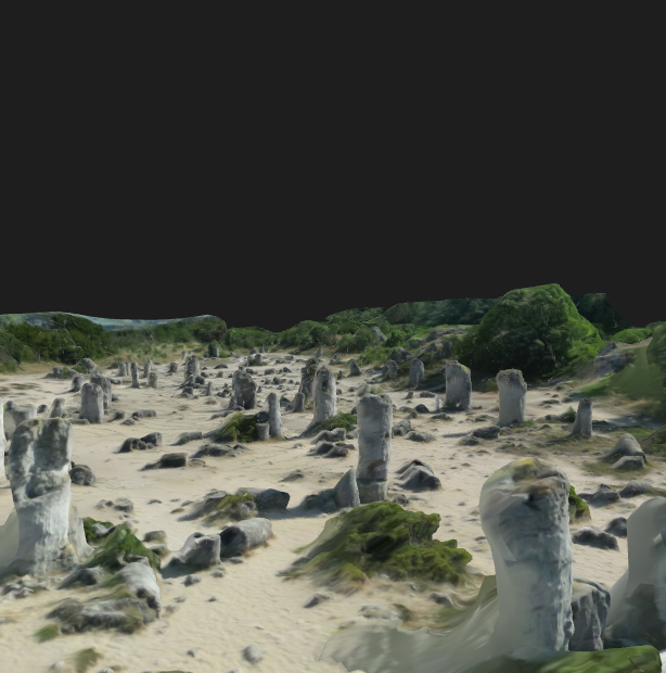 Stone Forest