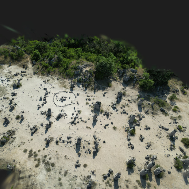Stone Forest Splat