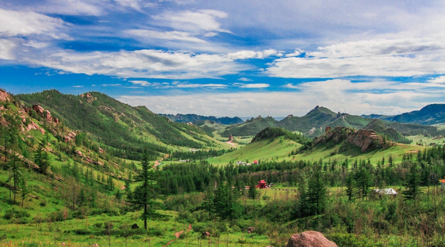 Terelj National Park Nenar Turtle Rock Beautiful Landscape Mongolia — Turtle Rock