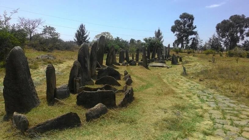 Tiya The Neatest Unesco — Tiya Stelae Field