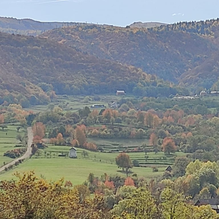 View Of The Valley Tilisca — Tilisca Dacian Settlement 