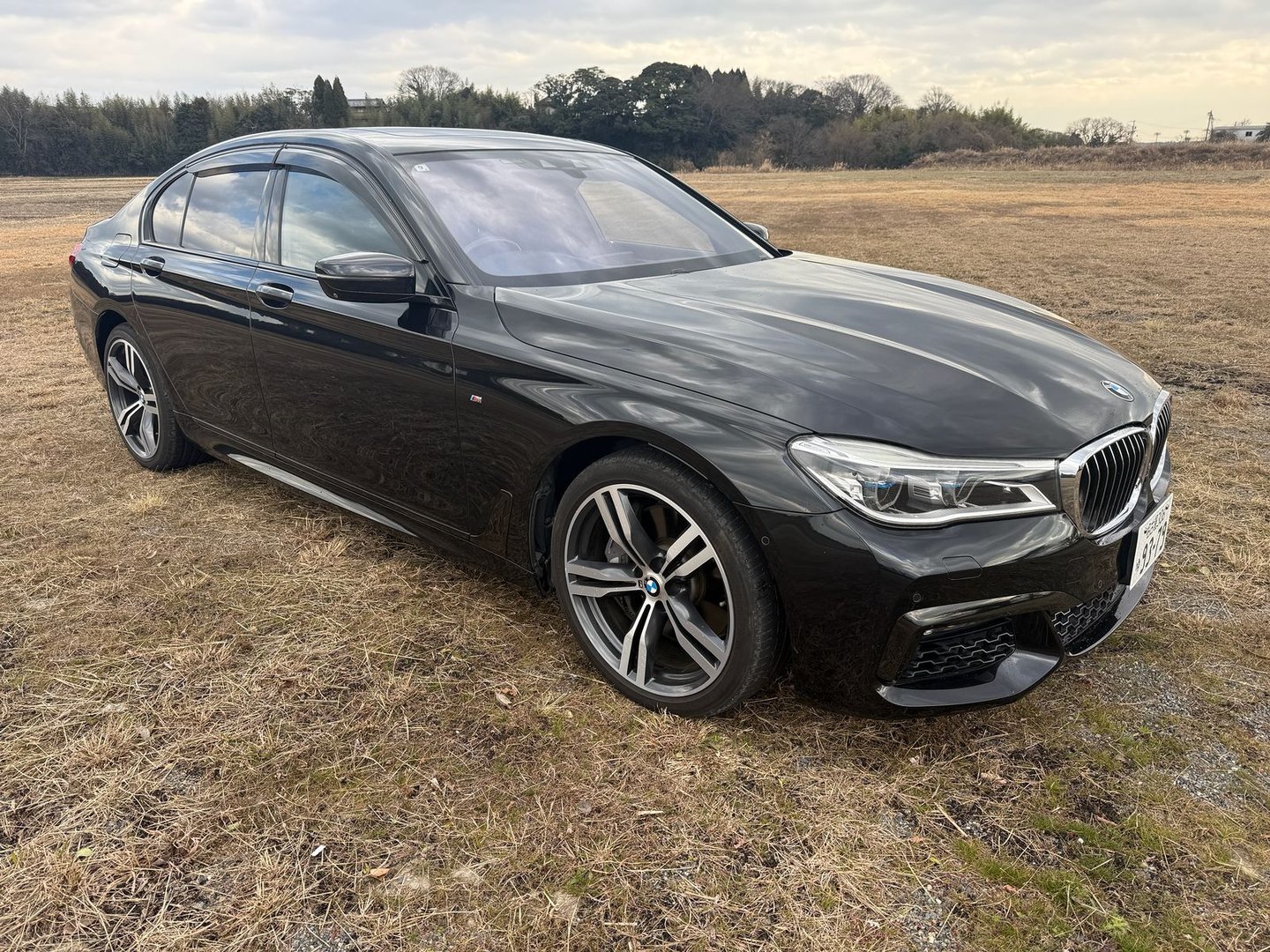 2016 BMW 750i Sedan M Sport V8 Twin Turbo 4.4L Petrol RWD AT RHD